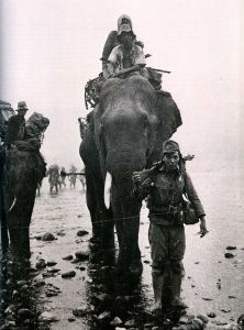 640px-Japanese_troops_on_elephant_in_Burma